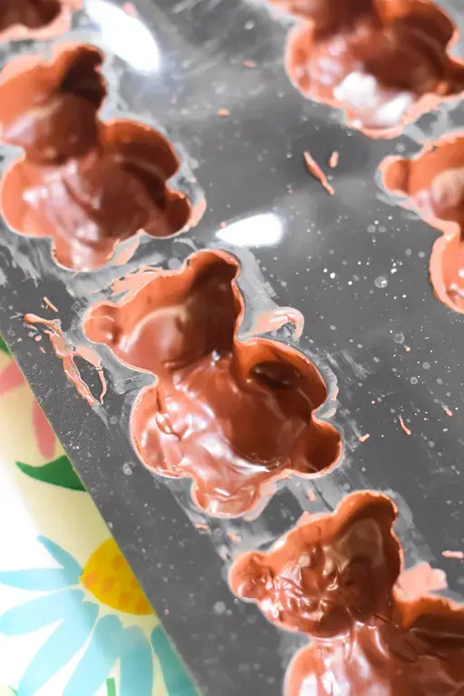 Oursons guimauve praline 2