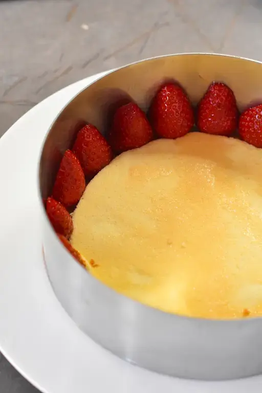 Fraisier vanille 2026 12