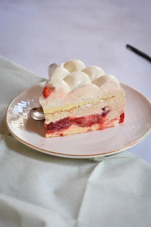 Fraisier vanille 2026 28