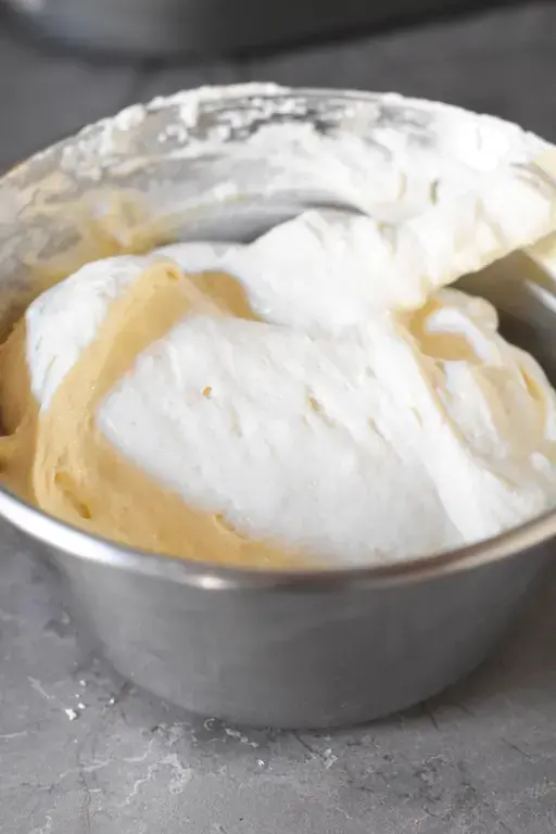 Buche tiramisu chalet 9