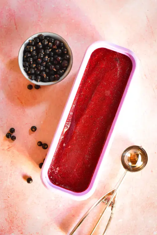 Sorbet cassis emmanuel ryon1