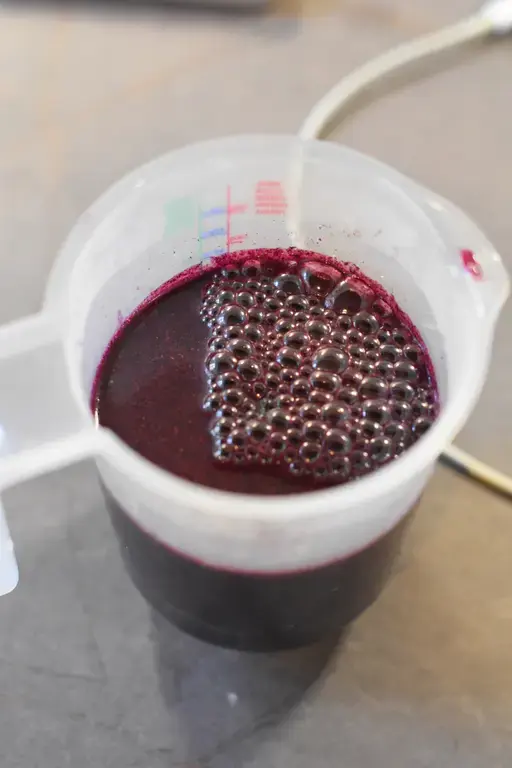 Buche myrtille citron 16