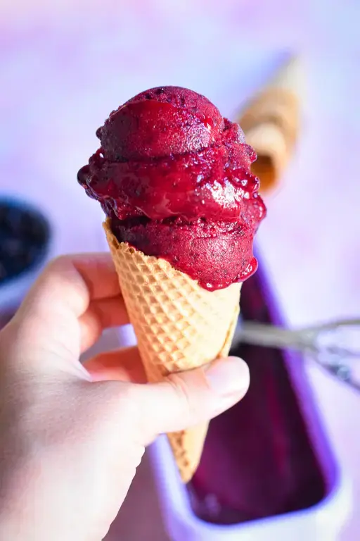 Sorbet cassis emmanuel ryon3