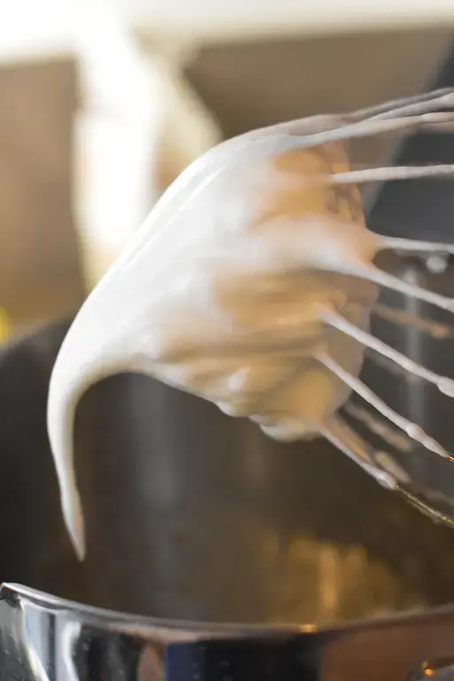 Buche myrtille citron 11