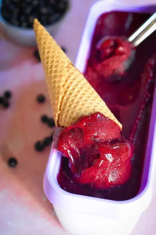 Sorbet cassis emmanuel ryon5