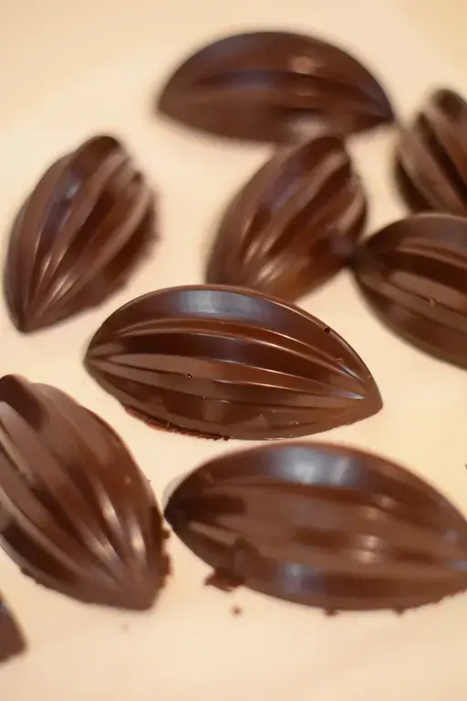 Panna cotta coque chocolat 2