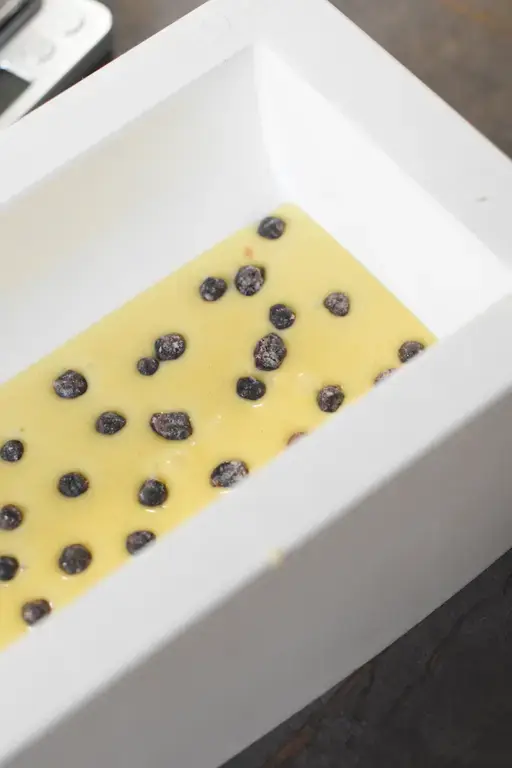 Buche myrtille citron 5